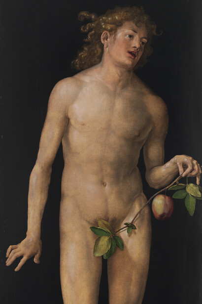 Adán visto por Durero (1471-1528)