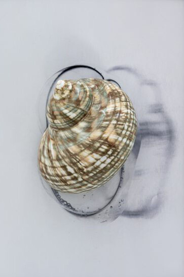 Hélène Fauquet, Everb, 2025. Courtesy of Meyer-Kainer Gallery