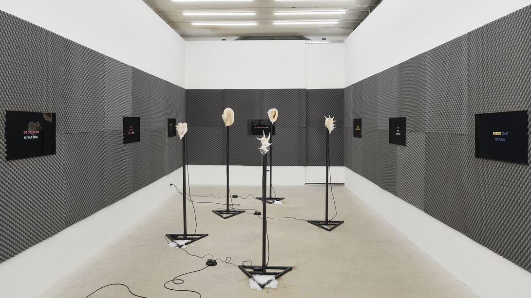 Eroticism is crime, three movements for Marco Giordano. Courtesy of Frutta Gallery