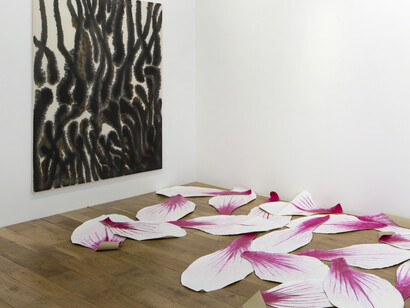 Magnolias. Courtesy of Kamel Mennour