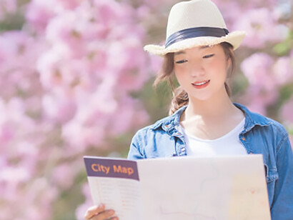 Asian woman tourist in denim jacket holds city map while strolling in the park surrounded by cherry blossom trees during spring