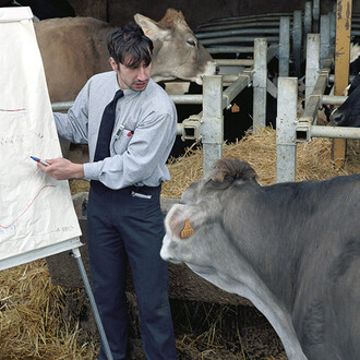 Thierry Boutonnier, Comment expliquer les objectifs de la production laitière aux vaches (detail), 2005. Courtesy of Dom Museum