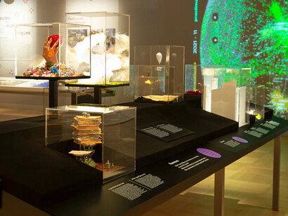 Crowds, humans in interaction, exhibition view. Courtesy of Musée de la civilisation