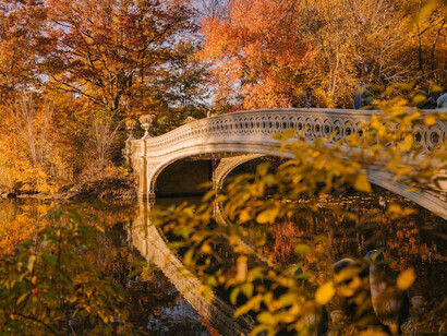 In autumn, Central Park in New York City transforms into a breathtaking tapestry of orange and gold, inviting visitors to immerse themselves in nature's stunning display