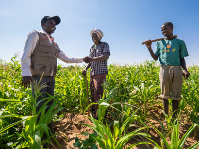 Amidst golden fields, Somali farmers engage in spirited conversation, emblematic of Somaliland's reliance on community and tradition in shaping governance