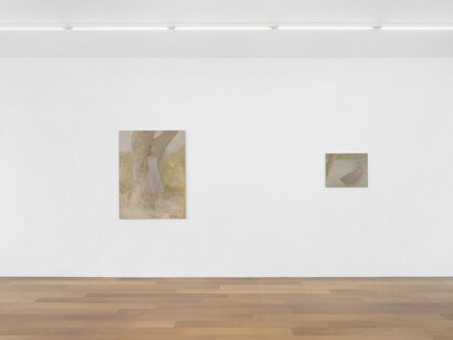 Chechu Álava, Water is taught by thirst, exhibition view. Courtesy of Xippas Gallery