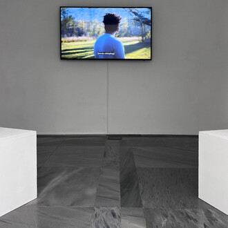 Donna Conlon, Listen to the hummingbird, exhibition view. Courtesy of Galería Espacio Mínimo