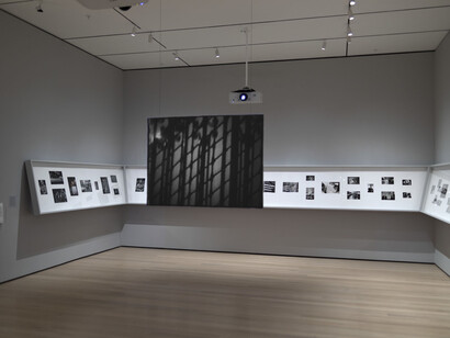 Stephen Shore. Courtesy of MOMA