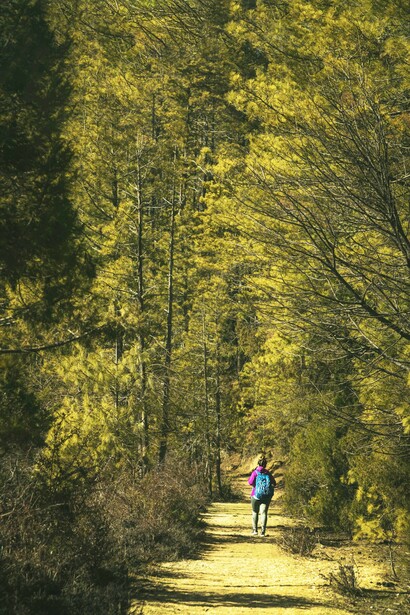 As you trek through the Rara National Park, Nepal, you’ll be surrounded by an incredible diversity of flora and fauna