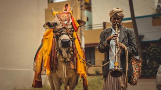 Um homem conduz uma vaca adornada com tecidos coloridos e ornamentos pelas ruas da cidade. Em muitas tradições indianas, a presença da vaca atravessa o cotidiano como símbolo de prosperidade, devoção e continuidade espiritual