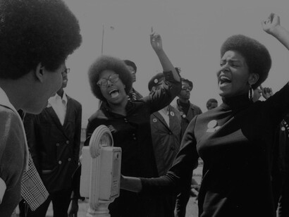 Women in the Black Panther Party played vital roles, shaping its activism and leadership