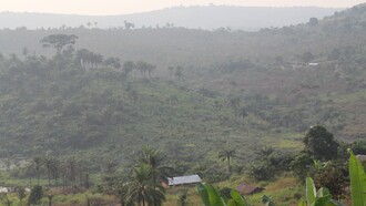 La localidad rural de Masi Manimba está situada a unos 400 kilómetros de Kinshasa. Aunque parece un lugar precioso, al igual que gran parte de la RDC, Masi Manimba es una zona rural remota y empobrecida. A pesar de contar con tierras muy fértiles, la producción agrícola de alimentos es limitada, y la desnutrición aguda constituye un grave problema de salud pública en todo el país. Provincia de Bandundu, República Democrática del Congo