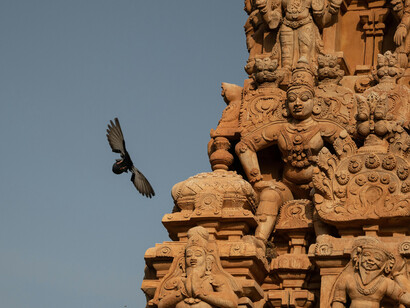A large bird flies by the Thanjavur Great Living Chola Temple, Tamil Nadu, India