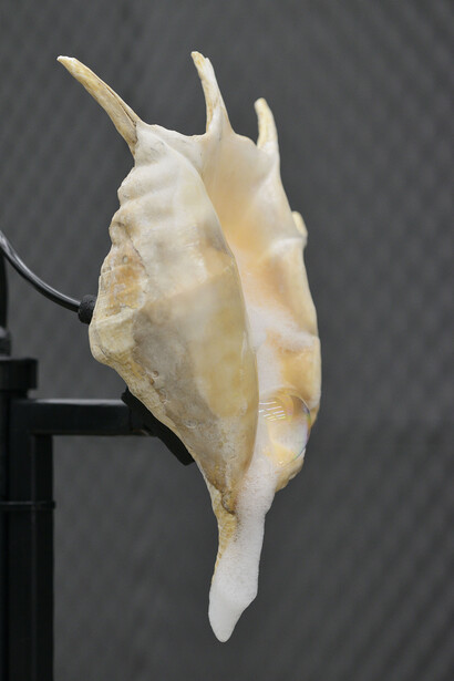 Eroticism is crime, three movements for Marco Giordano. Courtesy of Frutta Gallery