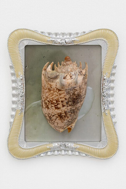Hélène Fauquet, Sea rex, 2025. Courtesy of Meyer-Kainer Gallery