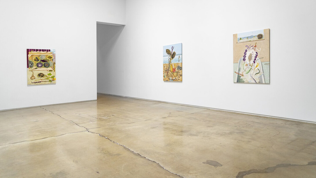 Hadi Alijani, The mutilated gaze, exhibition view. Courtesy of Michael Kohn Gallery