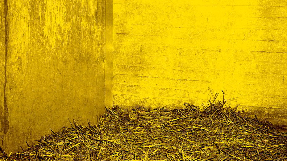 Jonathan Calm, Detail of "Deer Chamber 3", 2013 archival pigment print 16 x 100 inches Edition of 5. Courtesy of LMAKprojects, NY