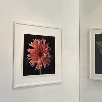 Various artists, Natural beauty, exhibition view. Courtesy of Elisa Contemporary Art