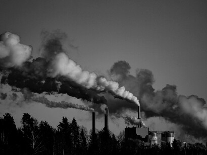Valuing ecological sustainability will create enormous and irresistible market pressure for the pursuit of profit to mean the pursuit of ecological improvement