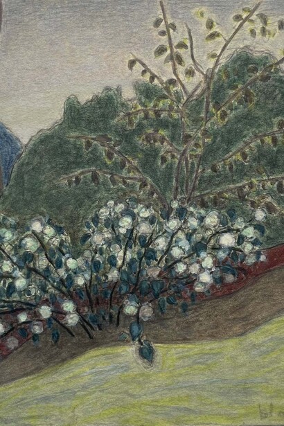 Nick Blosser, Hydrangea on sloping ground. Courtesy of PDX Contemporary Art