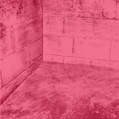 Jonathan Calm, Bear Chamber, 30 x 40 inches. Courtesy of LMAKprojects, NY