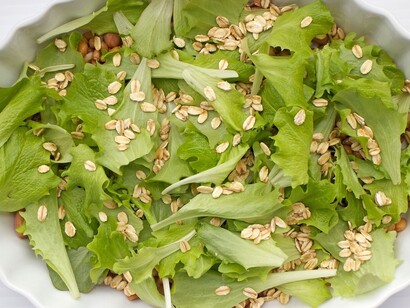Insalata biologica
