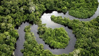 Vista aérea de la Selva Amazónica, Brasil