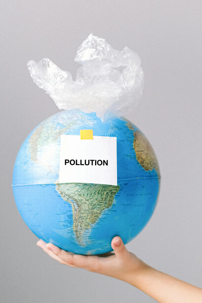 Compreenda as consequências das mudanças climáticas para a biodiversidade e a segurança alimentar e saiba por que a adaptação das espécies é inadequada diante da rapidez das mudanças