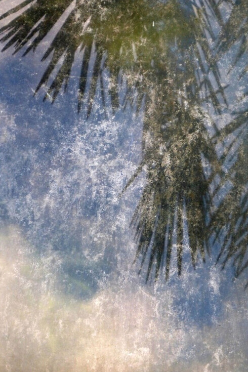 Anne Pharel. Courtesy of Galerie Photo12