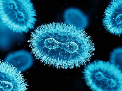 Another view of the monkeypox virus under a microscope