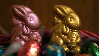 Historicamente, o chocolate era reconhecido pelo seu teor de cacau, ingrediente rico em flavonóides, antioxidantes e compostos bioativos associados à saúde cardiovascular e ao bem-estar. É conhecido por liberar substâncias que nos dão sensação de prazer e conforto, alívio da TPM, além do delicioso sabor. Contudo, nos últimos anos, muitas indústrias têm reduzido a quantidade de cacau em suas formulações, substituindo-o por maiores proporções de açúcar, gorduras vegetais e aditivos, visando reduzir o pagamento de impostos e aumentar os lucros das empresas
