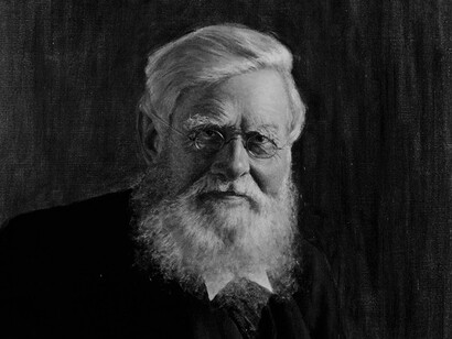 Alfred Russel Wallace, often hailed as the 'father of biogeography,' made significant contributions to our understanding of species distribution and the theory of evolution alongside Charles Darwin
