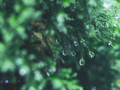 Almacenamos comida, valores, ideas, experiencias