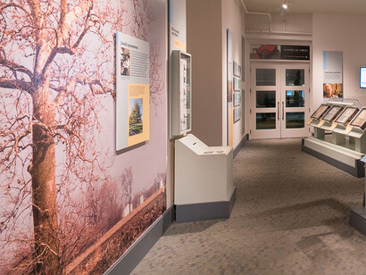Population Impact. Courtesy of Carnegie Museum of Natural History