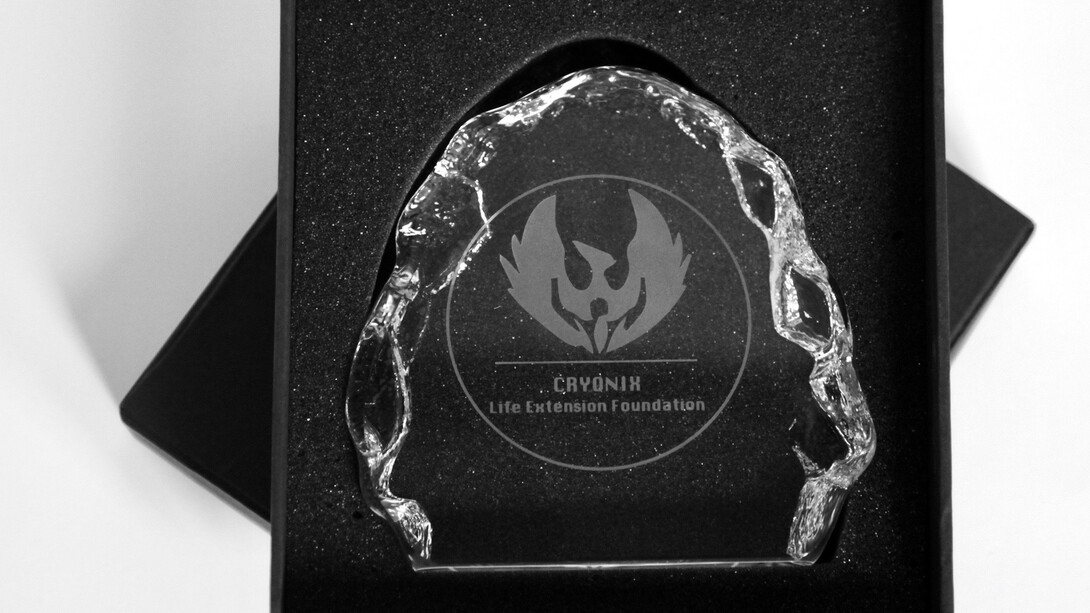 Chris Calderwood, Cryonix. Courtesy of The Residence Gallery