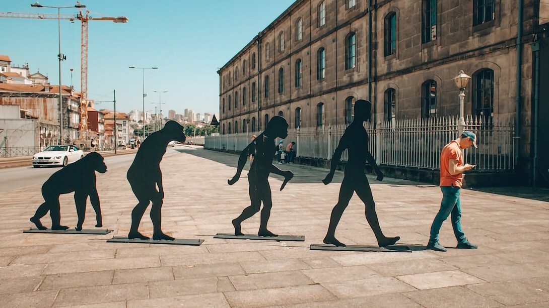 The fascinating evolution of modern humanity