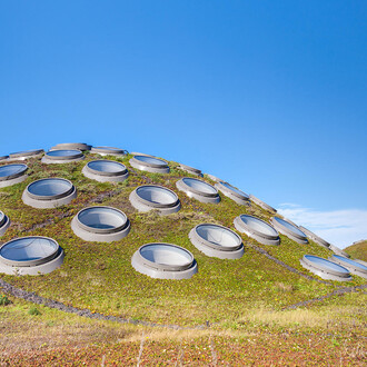 Living Roof. Courtesy of California Academy of Sciences