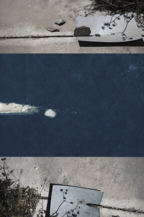 Dawn Roe. Courtesy of Tracey Morgan Gallery