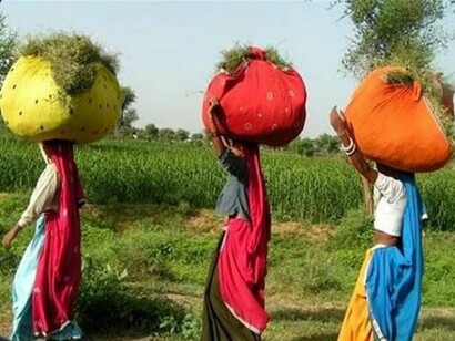 Women transporting plants