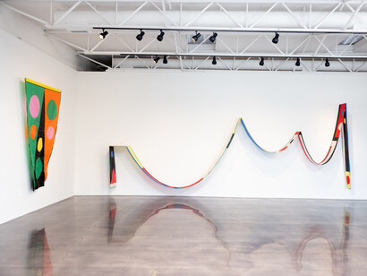 Reed Anderson, Flagworks 2017-2024, exhibition view. Courtesy of Barry Whistler Gallery