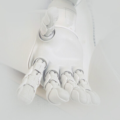 Die Kybernetik als Grundlage der Ökonomie des Sinns