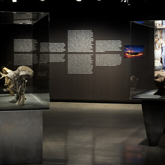 Manasie Akpaliapik, Inuit universe, exhibition view. Courtesy of McCord Stewart Museum