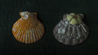 Ilha Grande, una isla paradisíaca en Brasil, pasó de ser una prisión de alta seguridad a un destino turístico enfocado en la sostenibilidad y la conservación ambiental