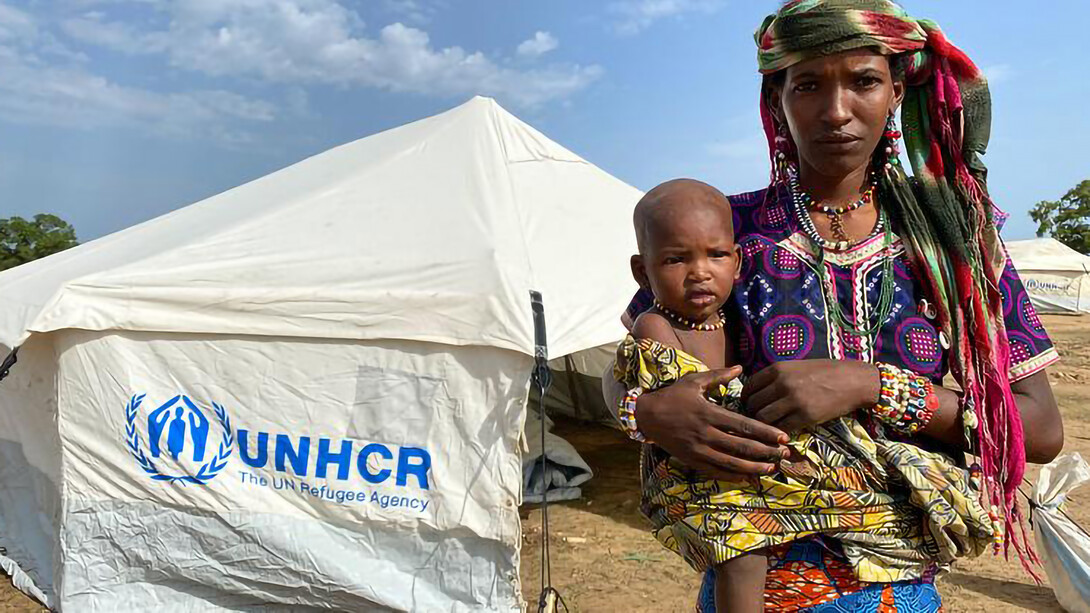 UNHCR, Behrooz Taleb Refugees from the Central African Republic and South Sudan receive emergency shelters in El Radoum camp in South Darfur, Sudan