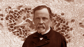 Louis Pasteur. N’a-t-il pas cette fois présumé de sa science, lui qui commence pourtant à avoir l’habitude de prendre des risques ?