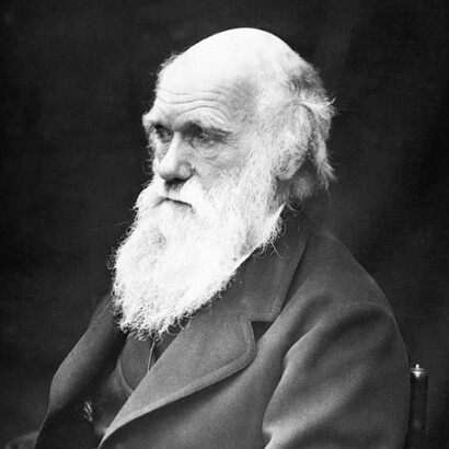 Darwin became a fervent anti-slavery campaigner and promoted movements to end slavery