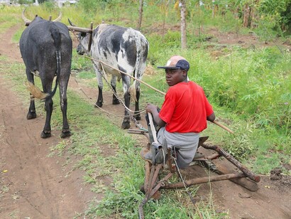 Jovem preparando a terra para o plantio