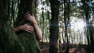 Uma pessoa abraça o tronco de uma árvore coberta de musgo, em um gesto de conexão, intimidade e reverência à natureza. A imagem traduz a essência do artigo: Gaia como a consciência viva da Terra que sustenta, conecta e transforma toda a vida, lembrando que cuidar do planeta é também reconhecer nossa própria origem e pertencimento. Não somos espectadores do planeta, mas parte inseparável de seu corpo e de seus ciclos. O abraço ao tronco de uma árvore centenária traduz um encontro silencioso entre o ser humano e a natureza