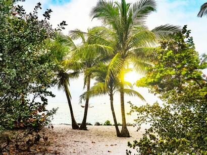 Sunshine and palm trees of Florida; 20 new Governor’s bills passed by the legislature this year that are driving a few – both politically left-leaning and moderately right-leaning – out of Florida, USA