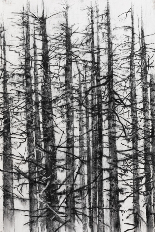 John Alexander. Courtesy of Berggruen Gallery